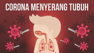 Bagaimana Virus Corona Menyerang Organ Tubuh Kita?