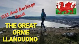 GREAT ORME Llandudno ~ Over 300m Years Old . SSSI + Heritage Coast . Learn Welsh + History With Anna