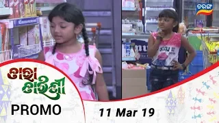 Tara Tarini | 11 Mar 19 | Promo | Odia Serial – TarangTV