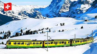 Lauterbrunnen to Wengen Magical Winter Journey 2024❄️I Wengernalpbahn and snow covered swiss Alps
