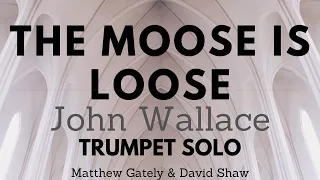 The Moose is Loose - Trumpet