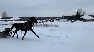 8 февраля 2024 г.