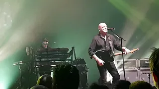 THE STRANGLERS -Golden Brown-Live@Toulouse 2021