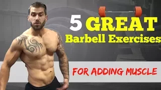 The 5 Best Barbell Exercises For Adding Muscle & Strength