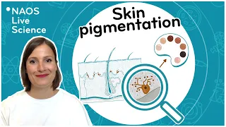 Skin pigmentation