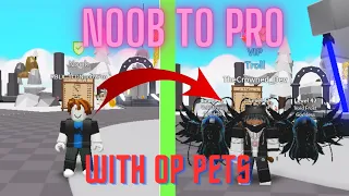 NOOB TO PRO WITH OP PETS (Saber Simulator)