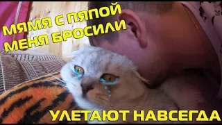 Кот Кевин сильно плачет | прощание с родителями