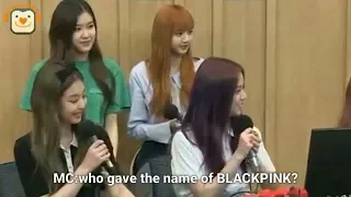 Blackpink "PINK PUNK"