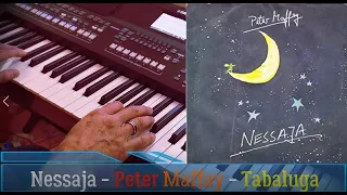 Nessaja - Tabaluga - Peter Maffay - Coverversion - Yamaha SX 600 - Ich wollte nie erwachsen sein