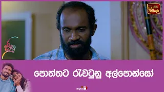 පොත්තට රැවටුනු අල්පොන්සෝ