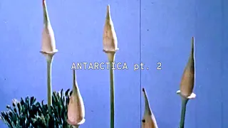 [FREE FOR PROFIT] $UICIDEBOY$ TYPE BEAT － ＡＮＴＡＲＣＴＩＣＡ（ＩＩ）