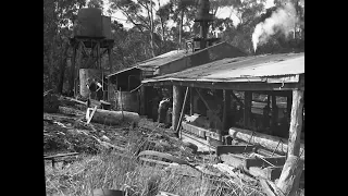 Stringy-bark, stories of logging in Victoria's far South West. Full program.