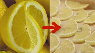 Cunning housewives freeze kilograms of LEMONS: and here's why