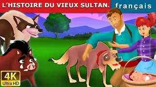 L’HISTOIRE DU VIEUX SULTAN | Old Sultan in French | Contes De Fées Français |@FrenchFairyTales