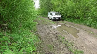 РАФ 2203 "TURBO". Відео жарт. "Пасіка діда Євгена".