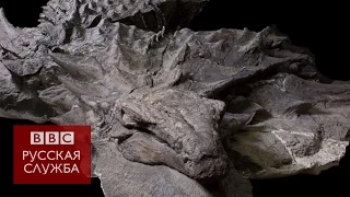 Идеально сохранившийся динозавр, которому 110 млн лет