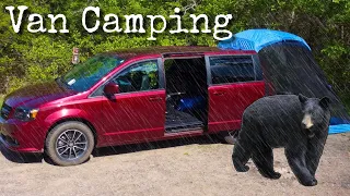 Car Camping in the Woods (Bear Outside) Morning Rain ☔️ Van Life