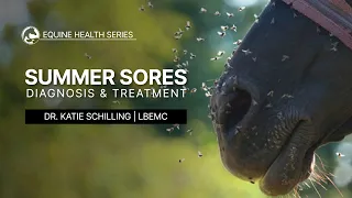 Summer Sores: Diagnosis & Treatment