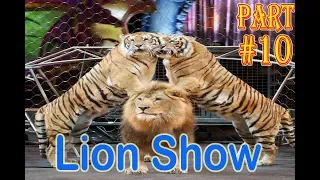 Lucky Irani Circus The Tiger and Lion Dance Show in Pakistan Lucky Irani Circus Part 10