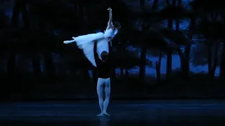 Sergei Polunin - Diana Vishneva // When Doves Cry