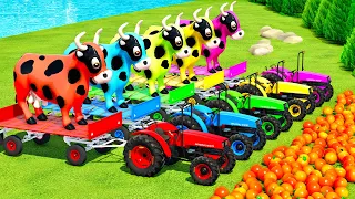 TRANSPORT COWS & ORANGES WITH CASE & UNIVERSAL TRACTORS - Farming Simulator 22