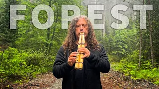 Forest Oasis - Native American Flute & Nature Sounds