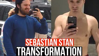 Sebastian Stan Body Transformation