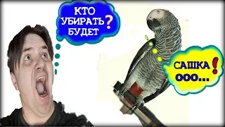 ✅ ЖАКО ПЕТРУНЯ - НЕ ДАСТ СКУЧАТЬ НА САМОИЗОЛЯЦИИ🐦🤗