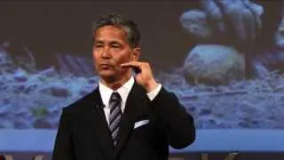 Imagination: Human mind viewed from chimpanzee mind: Tetsuro Matsuzawa at TEDxYouth@Kyoto 2013