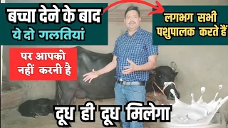 बच्चा देने पर ये दोनों गलतियां कभी मत करना 😱 Buffalo Care Tips 👉buffalo milk increase tips in hindi