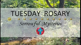 Tuesday Rosary • Sorrowful Mysteries of the Rosary 💜 September 5, 2023 VIRTUAL ROSARY - MEDITATION