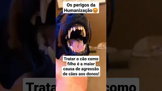 Pai de Pet? 😱😡 #shorts #cachorro #pets #cães #paidepet