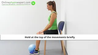 Tibialis Anterior Muscle Strengthening Exercise Tutorial (Level 2) - ONLINE PHYSIO EXERCISES