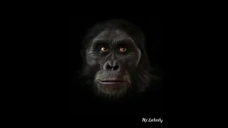 6 million years of Human Evolution in 40 seconds | HD |