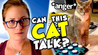 Can This CAT Talk USING Buttons?!