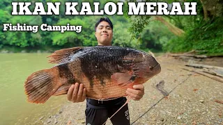 Fishing Camping 1 minggu dapat ikan kaloi menjelajah hutan di hulu sungai  Camp overnight bushcraft