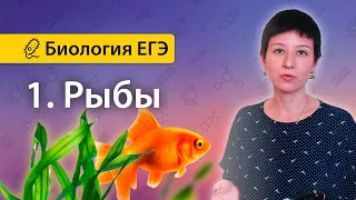 1. Рыбы | Зоология позвоночных | БИОЛОГИЯ ЕГЭ