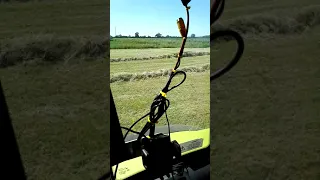 Small bale haymaking 2021. Claas markant 65 and cooks windrow sledge.