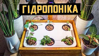 Українська гідропоніка своїми руками