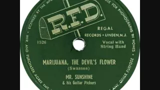 Mr. Sunshine & his Guitar Pickers - Marijuana, the Devil's flower