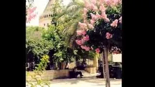 Храм Благовещения в Назарете. Basilica of the Annunciation May 20, 2014