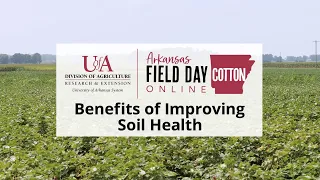 Cotton Field Day Online - Improving Soil Health