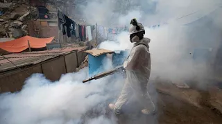 „Wir haben keine Betten mehr“ – Notstand wegen Dengue-Fiebers in Peru