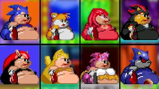 Sonic 2 XL Fat Metal Sonic, Ray, Amy, Tails, Shadow, Knuckles, Mighty, Sonic