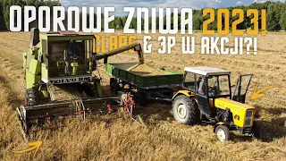 🌾🔥OPOROWE ŻNIWA 2023🔥CLAAS MERCATOR 75 & 3P W AKCJI 🔥🌾