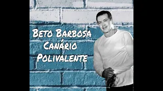 Canário Polivalente - Beto Barbosa / Letra