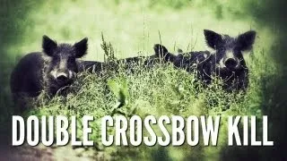 Two Hogs With One Shot! - Double Crossbow Kill - Hog Hunting Texas