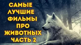 Самые лучшие фильмы про животных часть 2