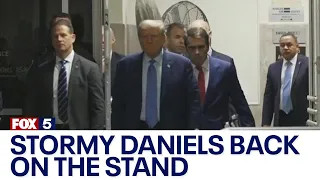 Stormy Daniels back on the stand