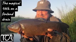 Fishing for Tench on a fenland drain. The magical 16th VID 047